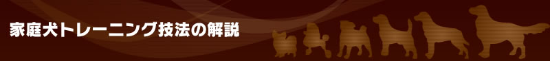 ƒ댢g[jOZ@̉