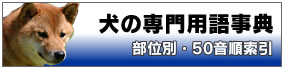 ̐pꎖT
