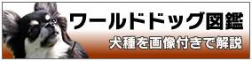 [hhbO}